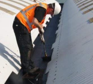 Paints coatings