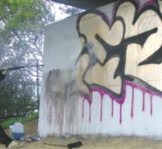 Graffiti & Paint Removers